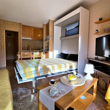 Apartment Au Pied Des Pistes Pour 4 Avec Wifi, Parking Et Animaux Admis - Fr-1-525-181
